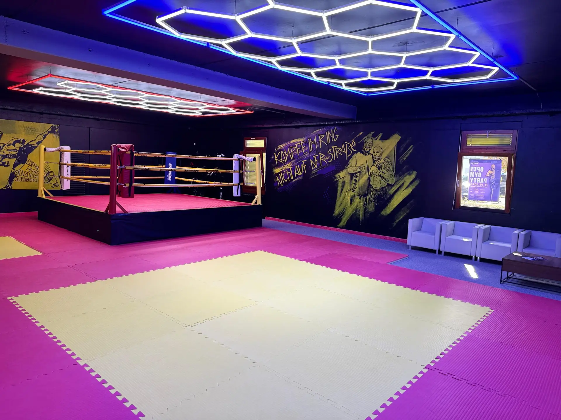 Iron Fight Gym Nürtingen Ring