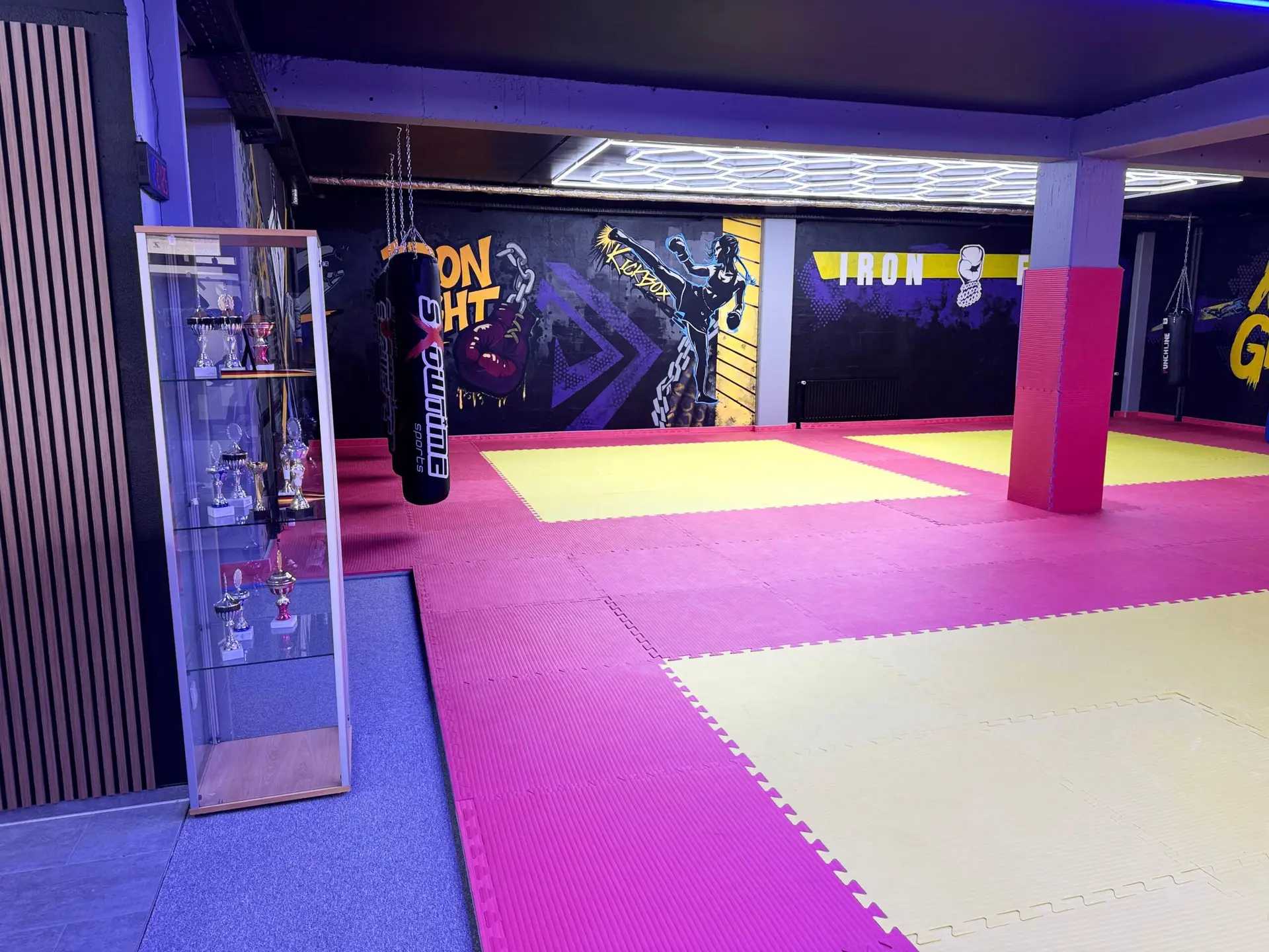 Iron Fight Gym Nürtingen Boxsack