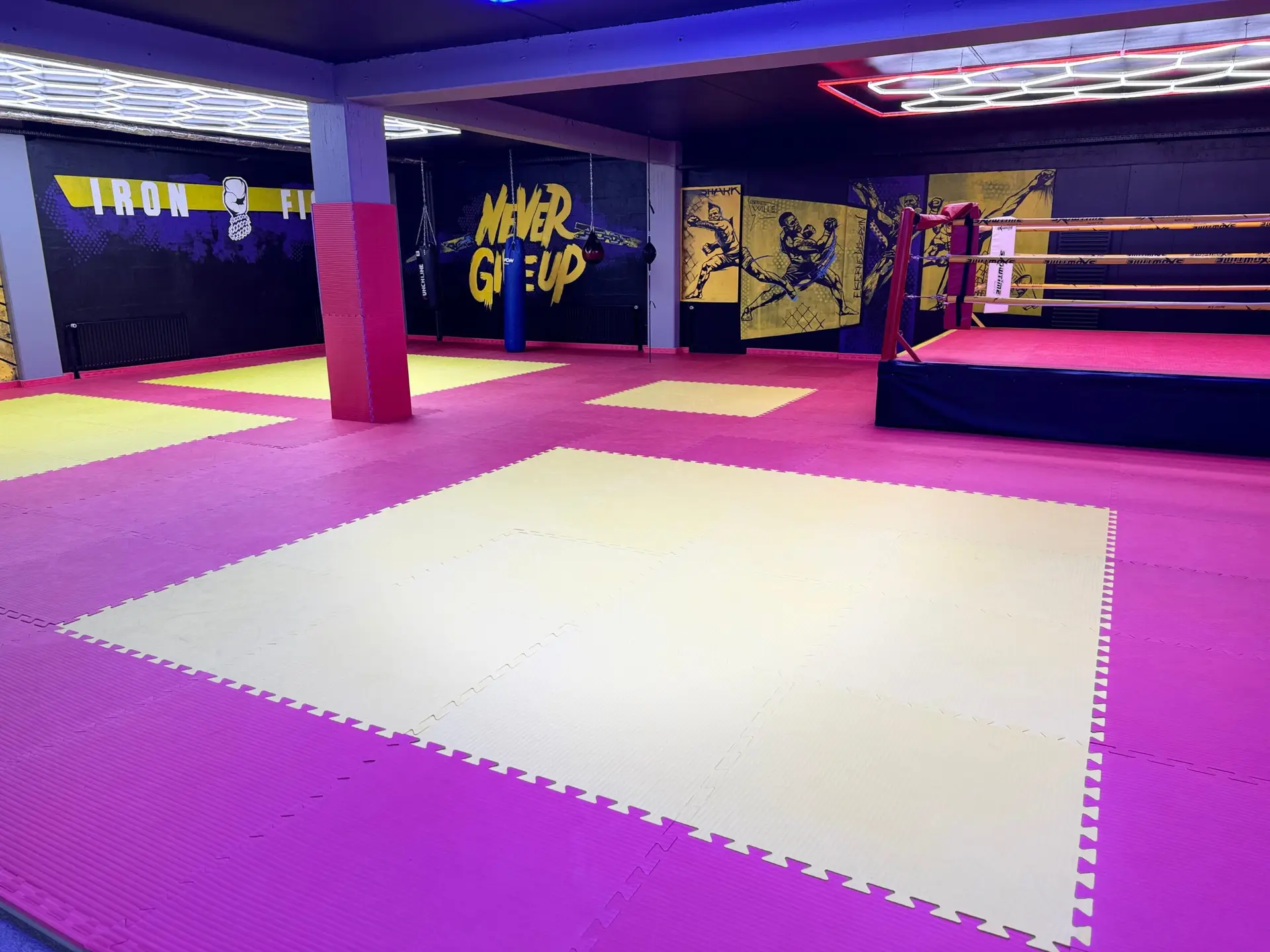 Iron Fight Gym Nürtingen Trainingsfläche